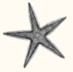 stamp3